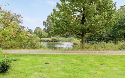 Aksa - 400M from the Sea: Arbre, Herbe, La Nature, Végétation, Paysage Naturel, Arbuste, Prairie, Lot Terre, Plaine, Jardin