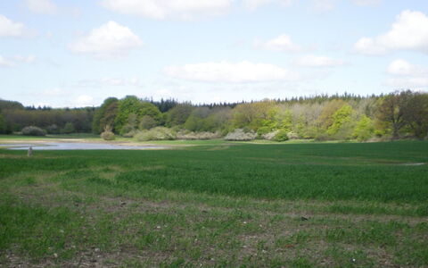 Thia - 4Km to the Fjord: Zone Résidentielle, Toit, Banlieue, Allée, Biens, Cheminée