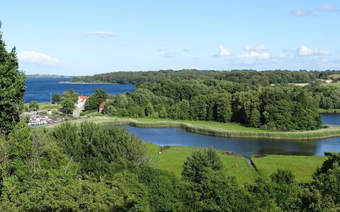 Veselin - 100M from the Sea: Bois, Toit, Architecture, Domicile, Maison, Chalet, Siding, Dur, Pente, Biens