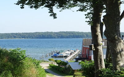 Veselin - 100M from the Sea