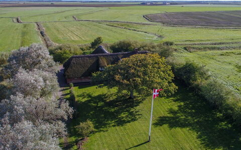 Knut - 10Km from the Sea: Bois, Tache De Bois, Planche, Dur, Chalet, Plate-Forme, Siding, Ombre, Parquet, Batiments Jardin