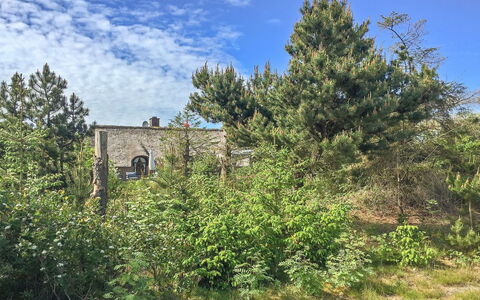 Ilva - 300M to the Fjord: Maison, Domicile, Zone Résidentielle, Toit, Chalet, Lot Terre, Biens, Cour, Jardin, Siding