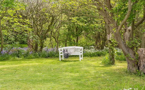 Nevis - 1.5Km from the Sea: Meubles, Design Intérieur, Chaise, Sol, Table, Recours, Sol, Plafond, Pièce, Eco Hôtel