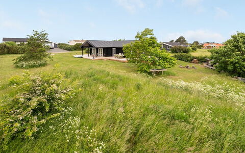 Siebelt - 200M from the Sea: Vert, Herbe, Végétation, Prairie, Arbuste, Lot Terre, Communauté Des Plantes, Zone Rurale, Couverture De Sol