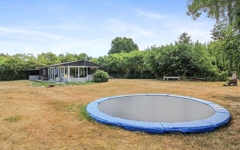 Eldina - 100M from the Sea: Arbre, Herbe, Trampoline, Trampolining - Materiel Et Fournitures, Paysage, Lot Terre, Plaine, Jardin, Ombre
