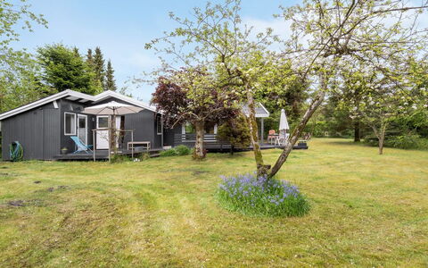 Syrina: Toit, Maison, Domicile, Chalet, Siding, Biens, Allée, Batiments Jardin, Cour, Cabanon