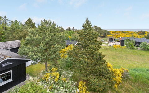 Jaskirt - 125M from the Sea: Vert, Végétation, Arbuste, Communauté Des Plantes, Lot Terre, Couverture De Sol, Jardin, Prairie, Aménagement Paysager