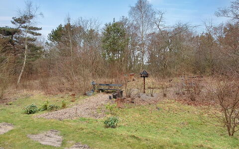 Enni - 100M from the Sea: Herbe, Arbuste, Lot Terre, Communauté Des Plantes, Sol, Piste, Des Bois, Formations Arbustives