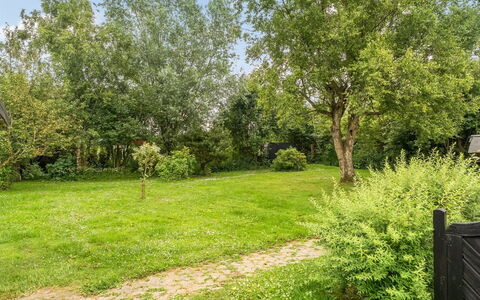 Gia - 1.3Km from the Sea: Arbre, Arbuste, Jardin, Lot Terre, Pelouse, Printemps, Couverture De Sol, Ombre, Suppression Des Plantes Ligneuses