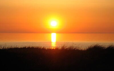 Tinea - 50M from the Sea