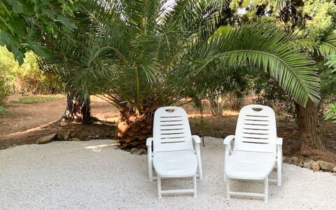 Les Mas de Gigaro: Plante, Communauté Des Plantes, Meubles, Chaise, Arbre, Mobilier De Jardin, Ombre, Confort, Arecales, Végétation
