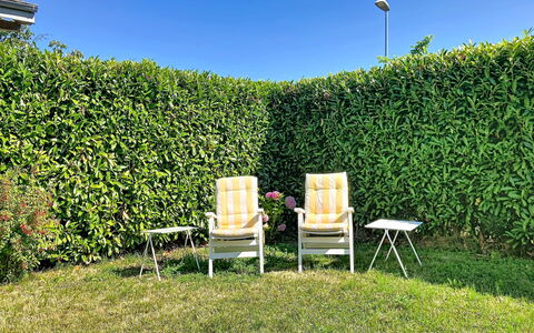 Dorenavant: Arbuste, Haie, Jardin, Ombre, Plantation, Herbe, À Feuilles Persistantes