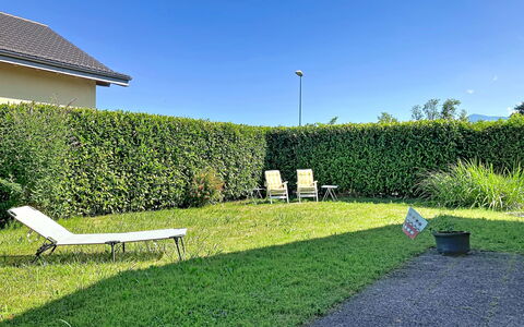 Dorenavant: Vert, Herbe, Arbuste, Haie, Jardin, Ombre, Couverture De Sol, Pelouse, Cour