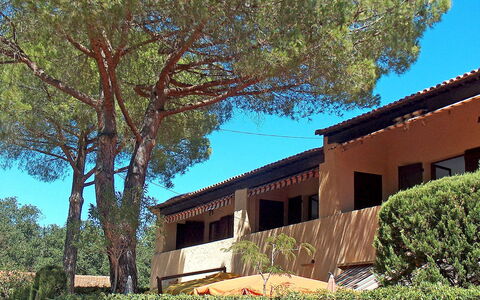 Gigaro Plage: Plante, Ciel, Propriété, Fenêtre, Feuille, Arbre, Ombre, Bâtiment, Bois, Zone Résidentielle