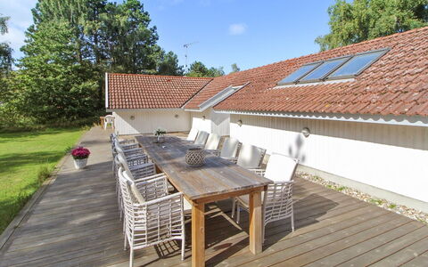 Erly - 500M from the Sea