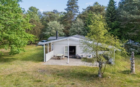 Rietrikki - 1.5Km from the Sea: Arbre, Herbe, Maison, Domicile, Chalet, Lot Terre, Arbuste, Toit, Zone Rurale