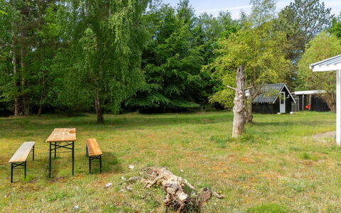 Rietrikki - 1.5Km from the Sea: Arbre, Herbe, Lot Terre, Zone Rurale, Pelouse, Tronc, Printemps, Des Bois, Jardin