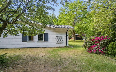 Rietrikki - 1.5Km from the Sea: Arbre, Herbe, Maison, Domicile, Arbuste, Zone Résidentielle, Chalet, Jardin, Pelouse