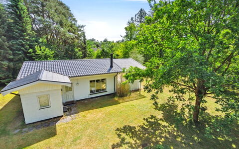 Rietrikki - 1.5Km from the Sea: Bois, Chalet, Dur, Planche, Tache De Bois, Batiments Jardin, Conception, Cour, Cabane En Rondins, Arrière-Cour
