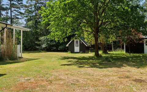 Rietrikki - 1.5Km from the Sea: Bois, Chalet, Dur, Planche, Tache De Bois, Batiments Jardin, Conception, Cour, Cabane En Rondins, Arrière-Cour