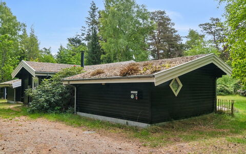 Nititzki - 600M from the Sea: Domicile, Chalet, Porche, Siding, Ferme, Structure En Plein Air