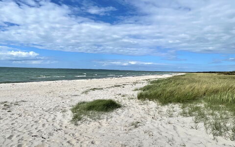 Efka - 175M from the Sea: Toit, Maison, Lot Terre, Domicile, Chalet, Biens, Batiments Jardin, Ombre, Cabane En Rondins, Aménagement Paysager
