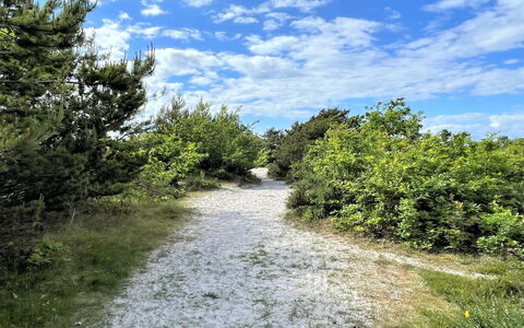 Efka - 175M from the Sea: Toit, Maison, Lot Terre, Domicile, Chalet, Biens, Batiments Jardin, Ombre, Cabane En Rondins, Aménagement Paysager