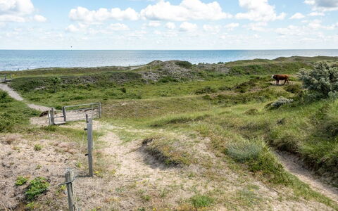 Lisbeth - 400M from the Sea: Toit, Maison, Domicile, Chalet, Siding, Biens, Allée, Batiments Jardin, Cour, Cabanon