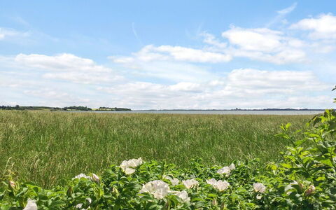 Vojo - 100M from the Sea: Ciel, Bleu, Vert, Nuage, Fleur, Champ, Été, Agriculture, Prairie