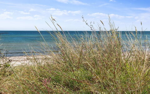 Margit - 10M from the Sea: Toit, Maison, Domicile, Chalet, Porte, Siding, Biens, Pelouse, Cour, Porche