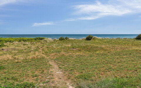 Margit - 10M from the Sea: Bleu, Vert, Environnement Naturel, Horizon, Écorégion, Été, Prairie, Mer, Communauté Des Plantes, Côte