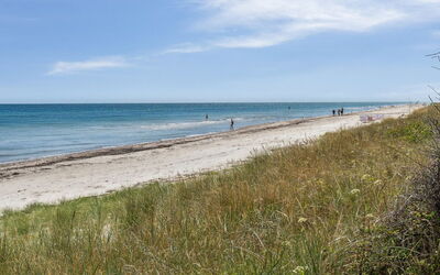 Margit - 10M from the Sea