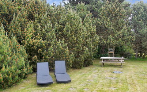 Crispina - 350M from the Sea: Arbuste, Suppression Des Plantes Ligneuses, Jardin, À Feuilles Persistantes, Aménagement Paysager, Famille Pine