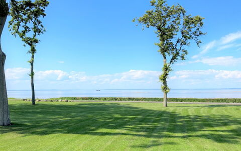 Gudke - 50M from the Sea: Meubles, Design Intérieur, Sol, Bois, Sol, Plafond, Parquet, Chaise, Table, Éclairage