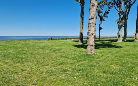 Emira - 50M from the Sea: Herbe, Prairie, Paysage, Écorégion, Plaine, Communauté Des Plantes, Lot Terre, Mobilier De Jardin, Prairie, Formations Arbustives