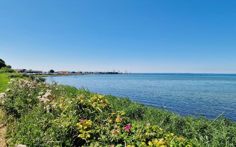 Emira - 50M from the Sea: Herbe, Prairie, Paysage, Écorégion, Plaine, Communauté Des Plantes, Lot Terre, Mobilier De Jardin, Prairie, Formations Arbustives