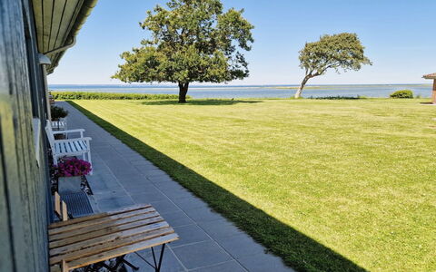Emira - 50M from the Sea: Herbe, Prairie, Paysage, Écorégion, Plaine, Communauté Des Plantes, Lot Terre, Mobilier De Jardin, Prairie, Formations Arbustives