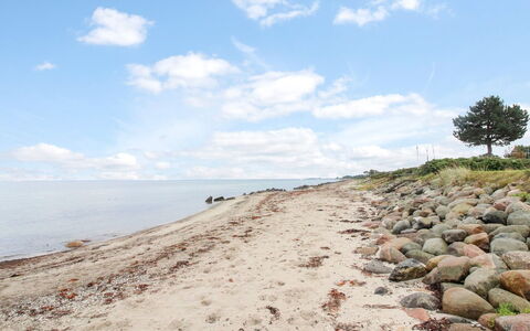 Radojka - 75M from the Sea: Toit, Maison, Lot Terre, Domicile, Chalet, Biens, Batiments Jardin, Ombre, Cabane En Rondins, Aménagement Paysager