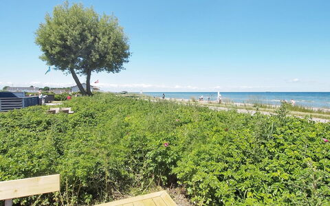 Vincent - 10M from the Sea: Bleu, Vert, Été, Arbuste, Mer, Océan, Cotiers Et Relief Océaniques, Couverture De Sol, Côte, Rive