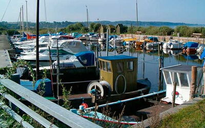 Daniela - 300M from the Sea
