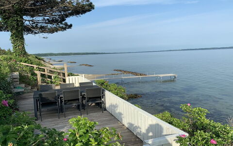 Amia - 20M from the Sea