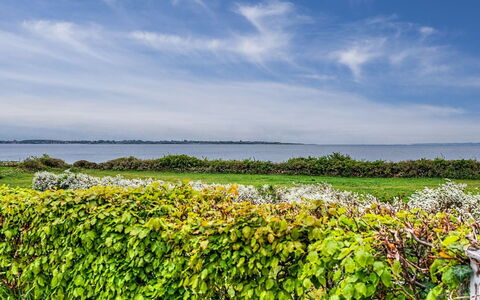 Annalia - 50M from the Sea: Bois, Jardin, Arrière-Cour, Lot Terre, Domicile, Toit, Ombre, Plate-Forme, Dur, Cour