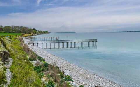 Annalia - 50M from the Sea: Bois, Jardin, Arrière-Cour, Lot Terre, Domicile, Toit, Ombre, Plate-Forme, Dur, Cour