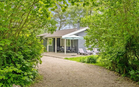 Felisa - 300M from the Sea: Arbuste, Domicile, Maison, Chalet, Jardin, Couverture De Sol, Printemps, Ombre, Siding