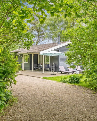 Felisa - 300M from the Sea