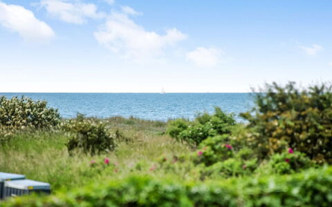 Emin - 100M from the Sea: Ciel, Bleu, Jour, Vert, Horizon, Végétation, Été, Mer, Arbuste, Communauté Des Plantes