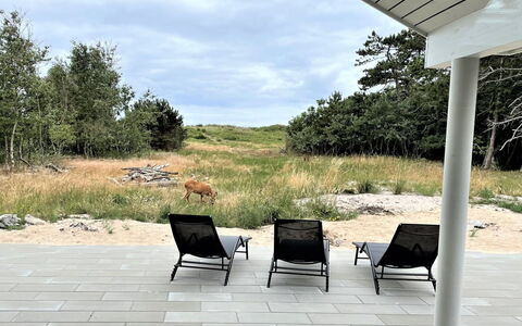 Jorn - 75M from the Sea: Maison, Toit, Domicile, Chalet, Cabanon, Batiments Jardin, Siding, Cour, Cabane En Rondins, Cabane