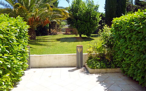 Saint-Tropez 515: Plante, Ciel, Communauté Des Plantes, Feuille, Vert, Paysage Naturel, Arbre, Lot Terre, Architecture, Surface De La Route