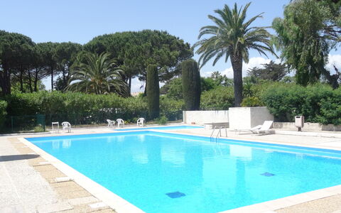 Saint-Tropez 515: L'Eau, Ciel, Propriété, Plante, Piscine, Bleu Azur, Arbre, Plan D'Eau, Ombre, Rectangle