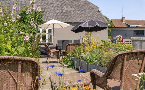 Evje - 250M from the Sea: Fleur, Arbuste, Pot De Fleur, Meubles, Mobilier De Jardin, Chalet, Maison, Jardin, Chaise